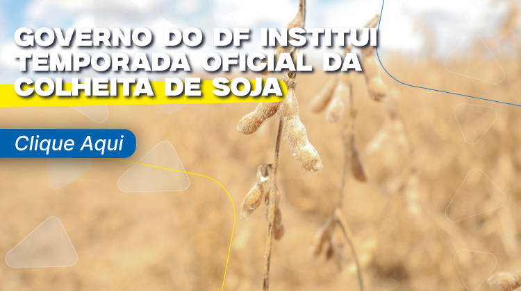 Capa da notícia: Governo do DF institui temporada oficial da colheita de soja