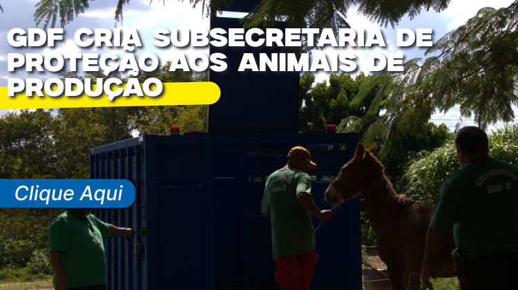 Capa da notícia: GDF cria Subsecretaria de Proteção aos Animais de Produção