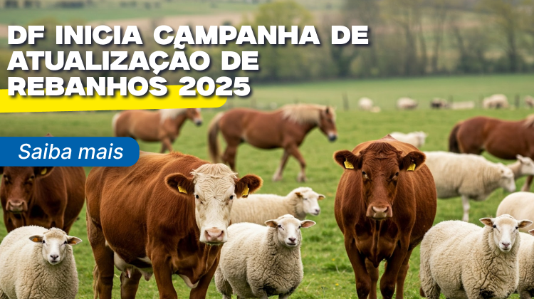 Capa da notícia: DF inicia Campanha de Atualização de Rebanhos 2025