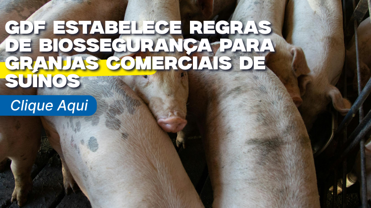 Capa da notícia: GDF estabelece regras de biossegurança para granjas comerciais de suínos
