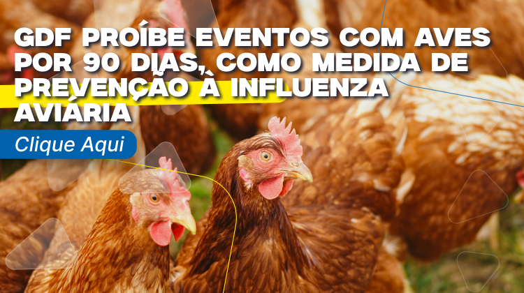 GDF proíbe eventos com aves por 90 dias, como medida de prevenção à influenza aviária